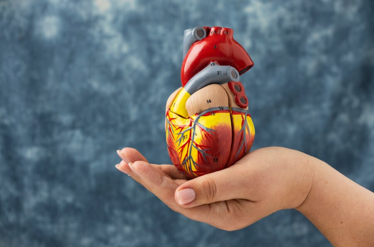 Valvular Heart Disease